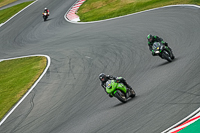 Lower Group Green Bikes